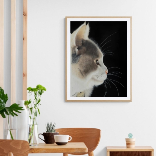 Lumi - Image 2
