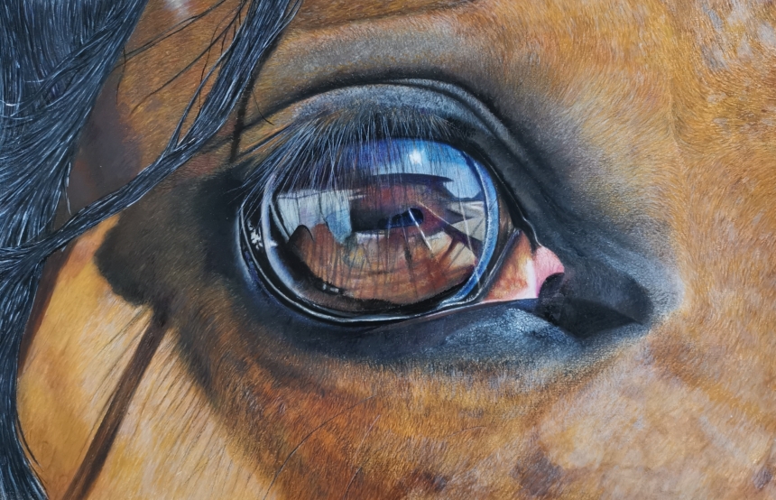 Equus