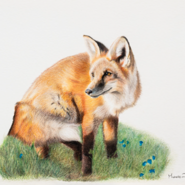 Fox and the Flowers Original Artwork