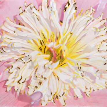 Peony Blush Original Artwork